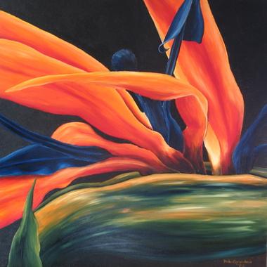 Blütenstücke - Strelitzie