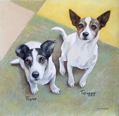 Hundeportrait