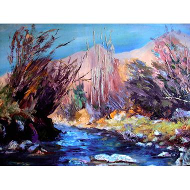 Flussbett ( Nord Iran)