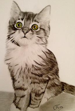 Katzenportrait "Minka"