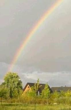 Regenbogen erwischt 