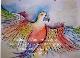  fliegender Papagei  - Aquarell auf Leonardokarton mit Schminke Farben 
h 50 cm x b 65 cm 