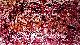 Action Painting -  220 * 160 cm Aryl auf Leinwand 1999